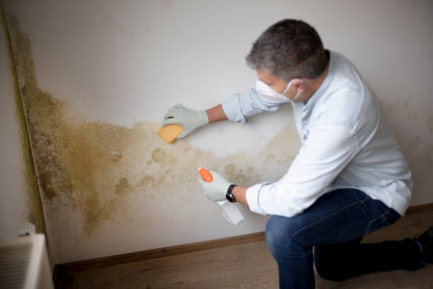 Best Airborne Mold Testing  in Milford City, CT