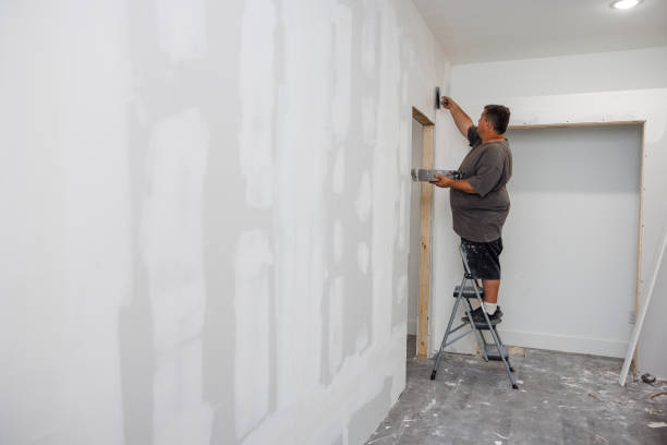 Milford City, CT Mold Removal Company