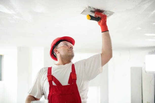 Best Commercial Mold Inspection  in Milford City, CT