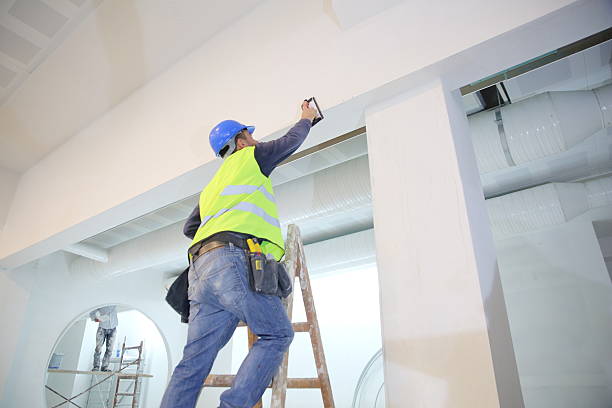 Best Mold Damage Restoration  in Milford City, CT